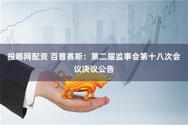 投哪网配资 百普赛斯：第二届监事会第十八次会议决议公告